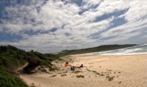 Site photo